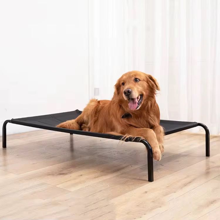 Cama Elevada para Perros – Confort y Frescura Todo el Año
