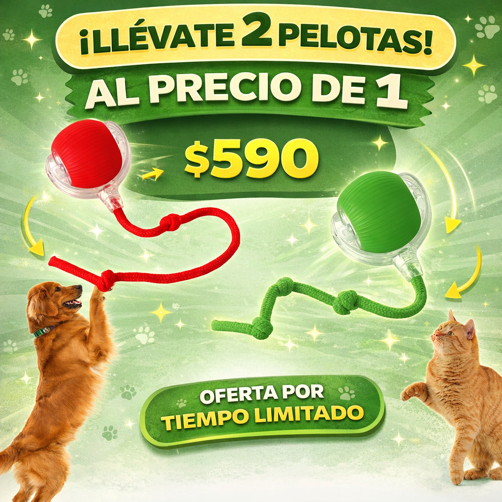 Pelota Interactiva para Perros y Gatos – 3 Modos de Juego - 2x1